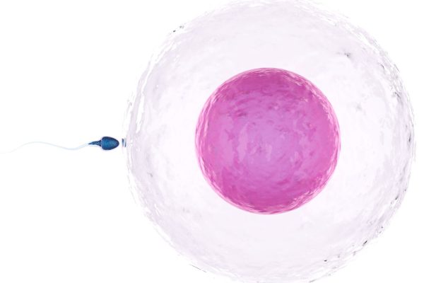 Infertilidade